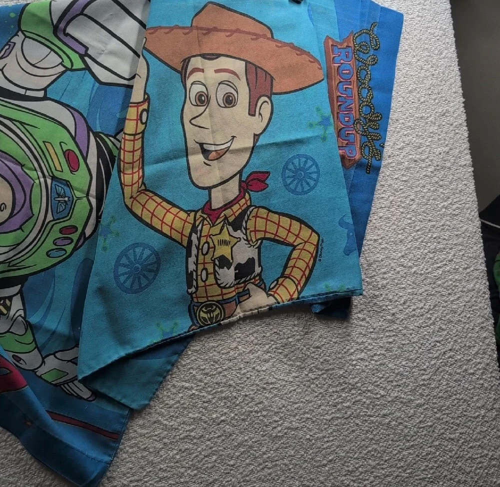 Toy Story Pillow Case Fabric 31x20